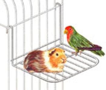 Amazon.com : Blue Ribbon Pet Products Medium Moveable Platform Black 12 x 8 x 5 Inch : Bird Perches : Pet Supplies