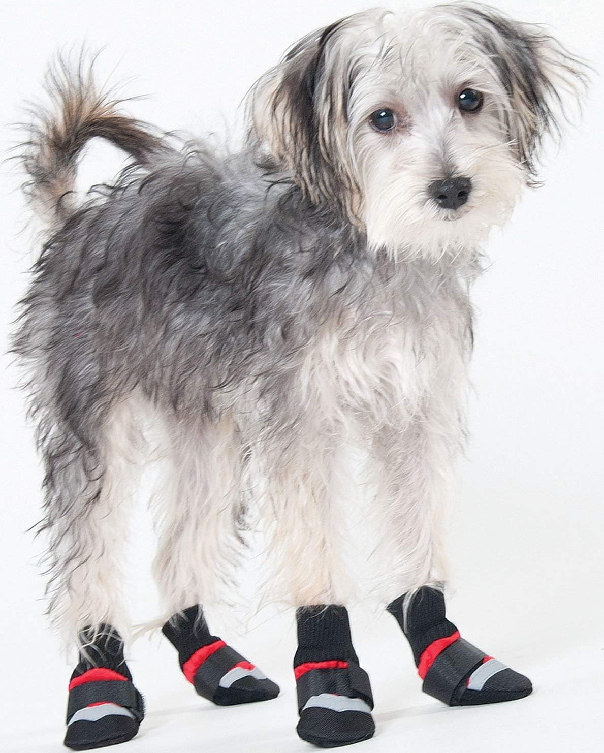 Amazon.com : Fashion Pet Całoroczne Buty dla Psów Małe : Ochraniacze na Łapy dla Zwierząt : Artykuły dla Zwierząt