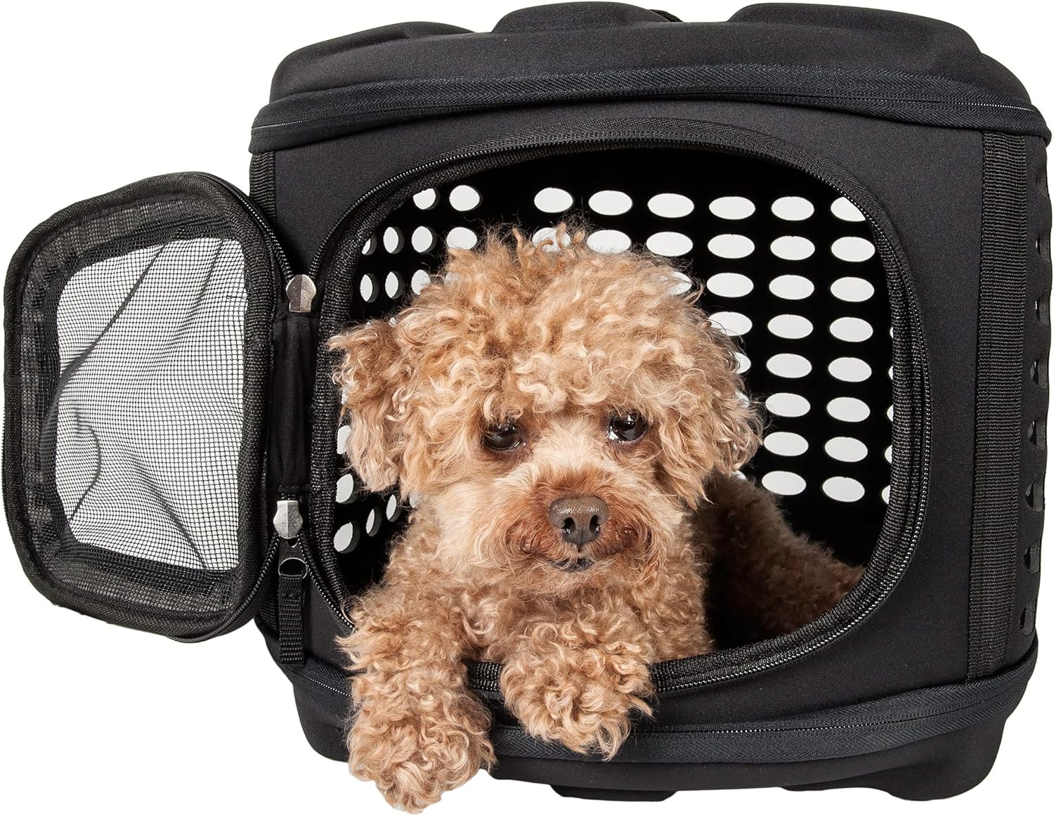 Amazon.com : Pet Life Circular Shelled Travel Pet Carrier - Collapsible and Folding Airline Dog Carrier with Lightweight Military-Grade Durability with Included Shoulder Straps : Pet Supplies