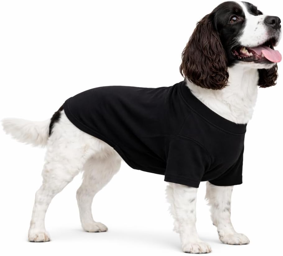 Amazon.com : Lovelonglong Pet Clothing Dog Costumes Basic Blank T-Shirt Tee Shirts for Medium Dogs Black XXL : Pet Supplies