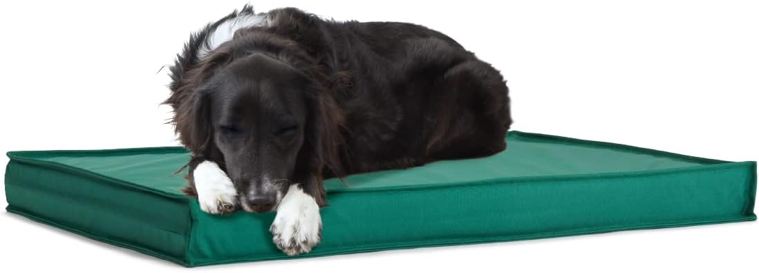 Amazon.com : BarkBox - Outdoor Dog Bed - Waterproof Dog or Cat Mattress with Removable Cover - Platform Bed with Washable Cover, Durable, Portable - Indoor/Outdoor All Season Orthopedic Comfort - Large - Green : Pet Supplies