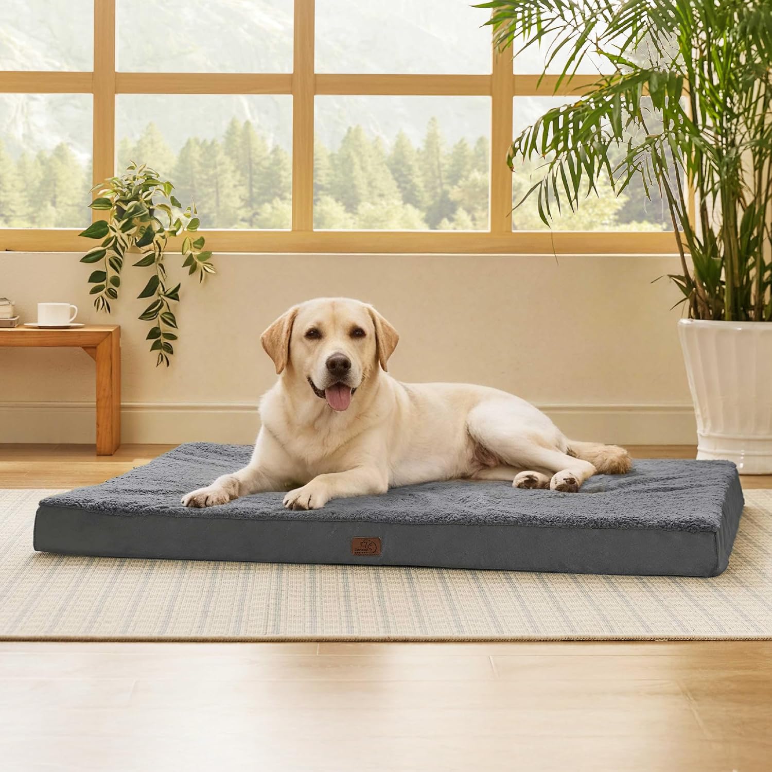 Amazon.com : Bedsure XXL Dog Bed for Large Dogs - Orthopedic Flat Giant Pet Beds with Removable Washable Cover, Jumbo Egg Crate Foam Mat, Suitable for Pet Up to 150 lbs : Pet Supplies
