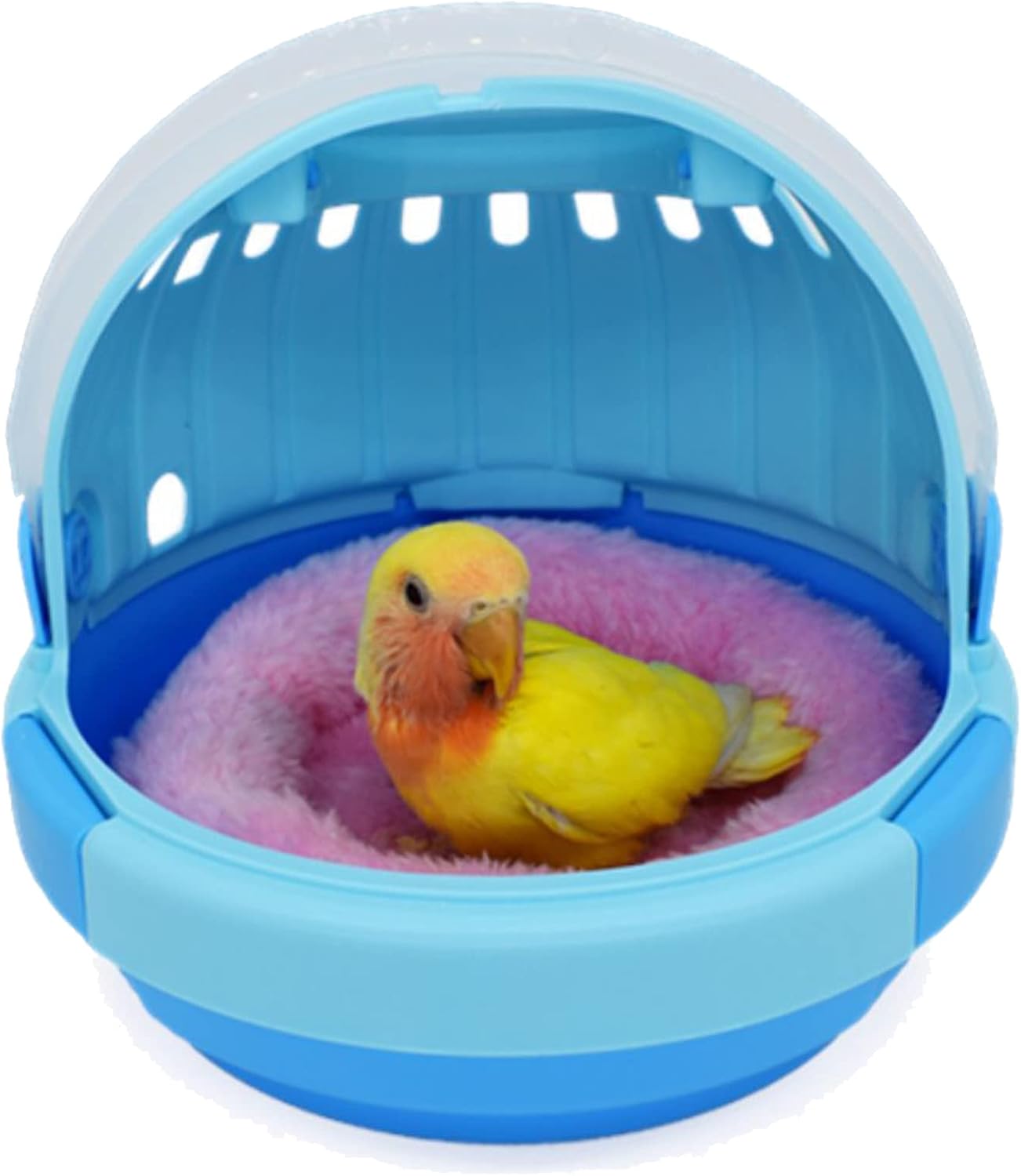 Amazon.com : Bonaweite Bird Travel Carrier, Transparent Easy Access Door Cage, Lightweight & Portable Parrot Carry Case with Mat : Pet Supplies