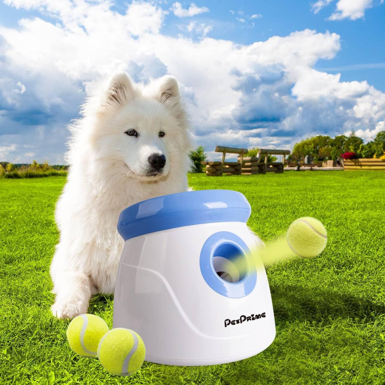 Amazon.com: PetPrime Dog Automatic Ball Launcher ...
