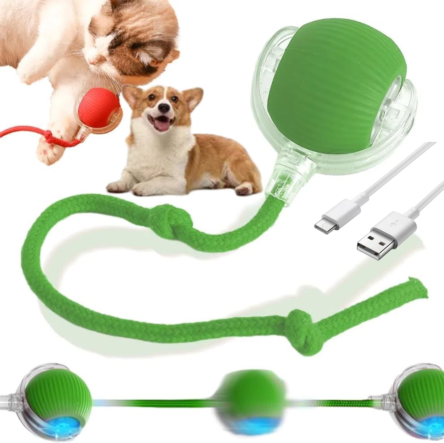 Amazon.com : Koujut Peppy Pet Interactive Rolling Ball for Dogs & Cats - Upgraded Electric Self-Moving Toys (Green) : Pet Supplies