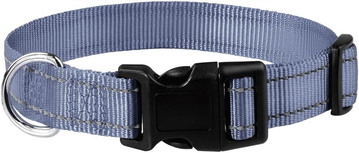 Amazon.com : Reflective Dog Collar, Reflective Dog Collar with Buckle Adjustable Safety Nylon Collars for Small Medium Large Dogs Pets Accessories - Teal : Pet Supplies