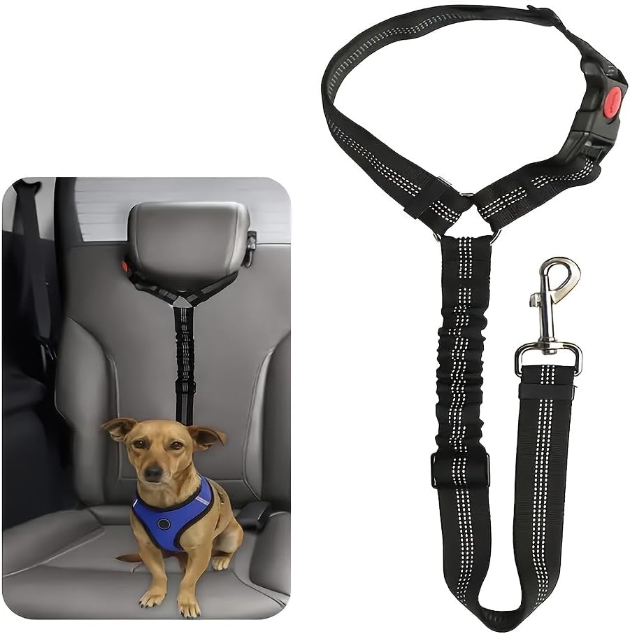 Amazon.com : 2-in-1 Dog Car Seat Belt Leash, Elastic Retractable Reflective Pet Safety Leash with Shock Absorption, Adjustable Car Backseat Harness for Small & Large Dogs, Pet Car Accessories (Black) : Pet Supplies